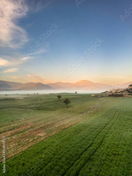 Fototapeta Aerial view of trees in foggy field at sunrise