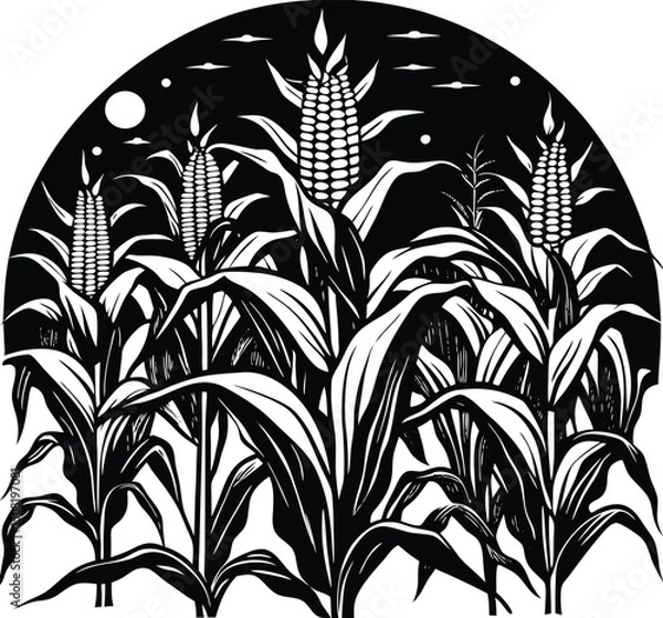 Fototapeta corn field vector