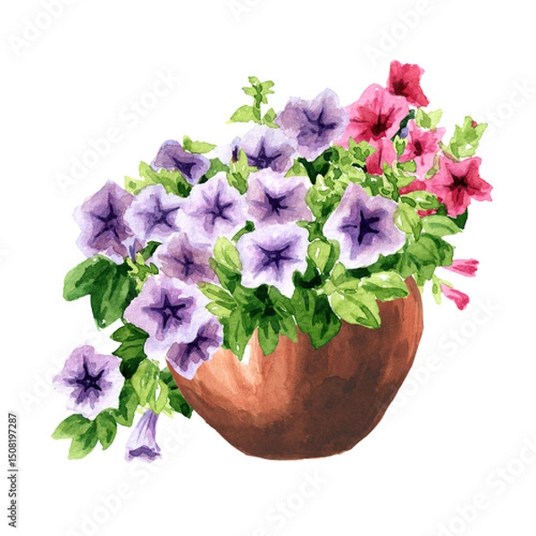 Fototapeta Rustic style composition with Petunia flowers in the flower pot. Hand drawn watercolor illustration isolated on white background