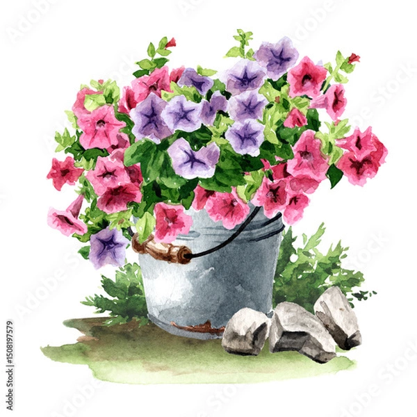 Fototapeta Rustic style composition with Petunia flowers. Hand drawn watercolor illustration isolated on white background