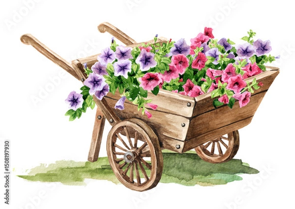 Fototapeta Wooden garden wheelbarrow with rustic petunia flowers. Hand drawn watercolor illustration isolated on white background