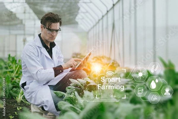 Fototapeta modern farmer using Smart Farming, Farming technology innovation software for new agriculture plant monitor control.