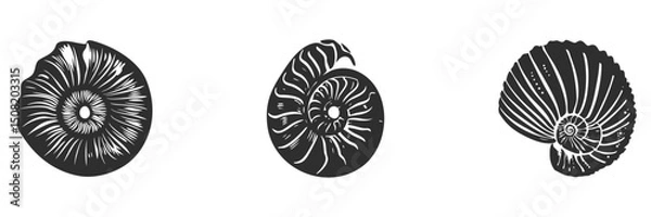 Fototapeta Nautilus Shell Silhouette Set. Marine Fossil Patterns And Natural Design Elements Isolated Vector Illustration Collection