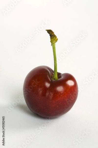 Obraz Cherry