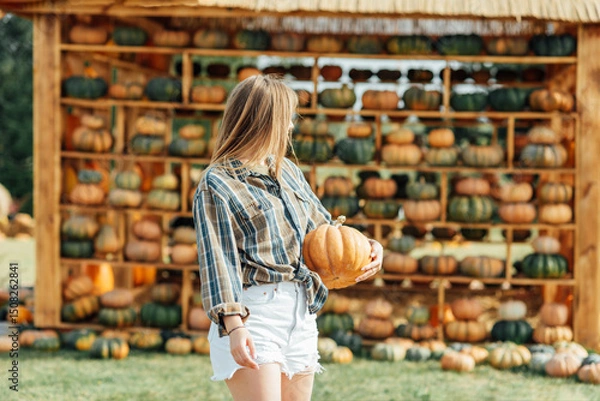 Fototapeta young woman stands at pumpkin festival, holding large orange and green pumpkin. She is surrounded by rows of pumpkins and a wooden display. The autumn farm setting captures the harvest season vibe.