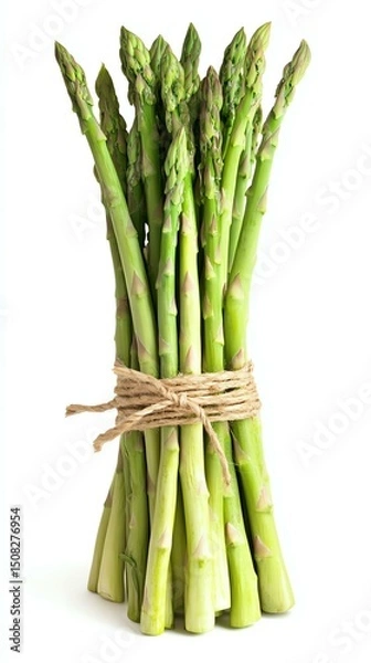 Fototapeta Fresh green asparagus bundle with twine.