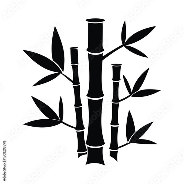 Fototapeta Bamboo tree stalks and leaves silhouette on white background