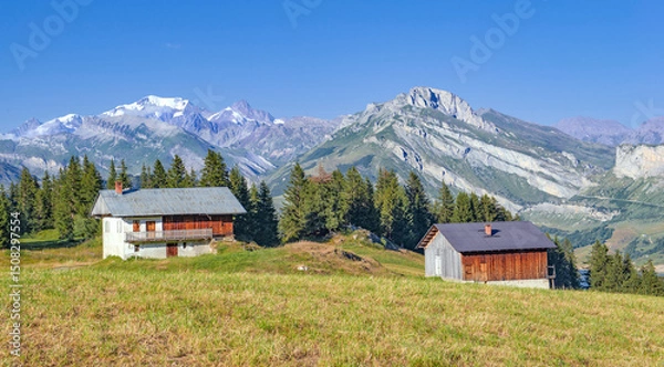 Fototapeta Savoyard chalet in meadow and mountain massif in the background with view of Mont Blanc