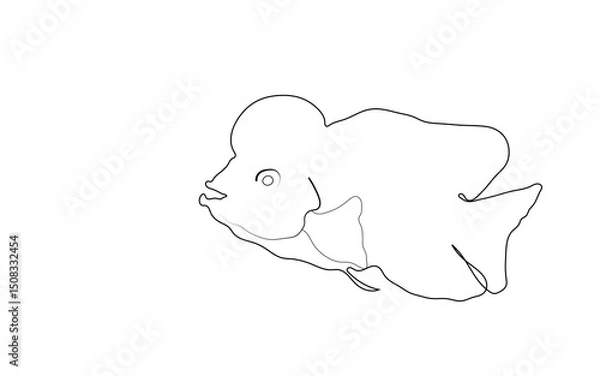 Obraz fish drawing line on white background