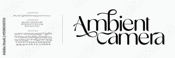 Obraz Elegant classic alphabet serif fonts decorative wedding retro concept. Typography Retro vintage alphabet letters fonts and number. vector illustration