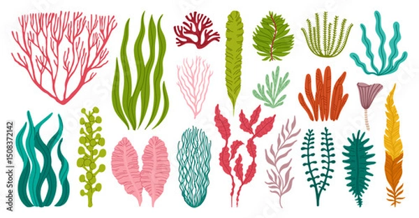 Fototapeta Seaweeds and corals or sea algae and underwater plants, vector cartoon set. Ocean seaweeds and tropical undersea algae and kelp of laminaria leaf and green aquatic plants or seagrass and moss