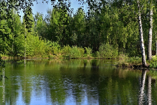 Fototapeta A small river surrounded by forest creates a beautiful landscape.