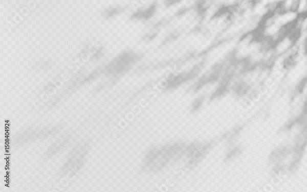 Fototapeta Shadow overlay from a tree branch isolated on a transparent background.