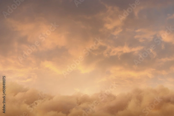 Fototapeta View to soft yellow sky with fluffy clouds. 3D Rendering