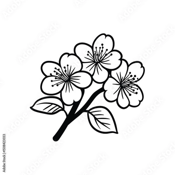 Fototapeta Three black and white cherry blossoms bloom on a branch against a clear backdrop