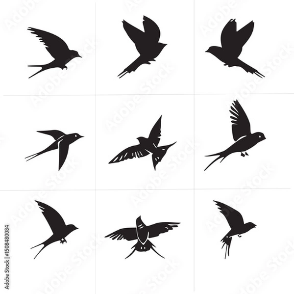 Fototapeta Group parrot vector design