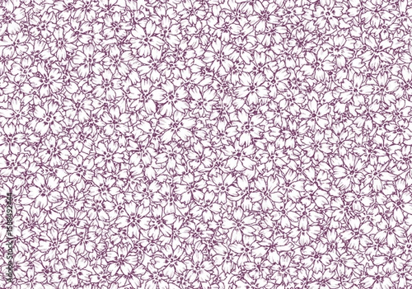 Obraz シームレスな芝桜の背景素材