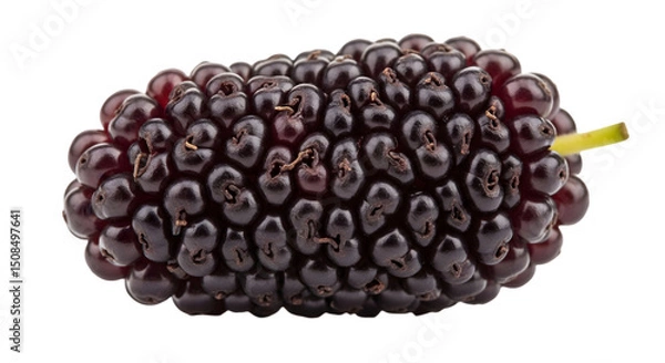 Fototapeta Mulberry Fruit Close-up with Transparent Background,  Showcase Juicy Texture Vividly.
