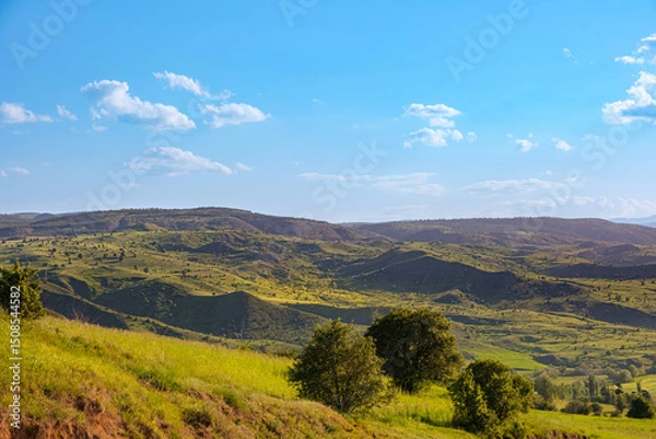 Obraz A wide-angle scene of gently rolling hills blanketed in green grass and scattered trees. This peaceful, rural scene evokes a sense of open space. From Turkey.