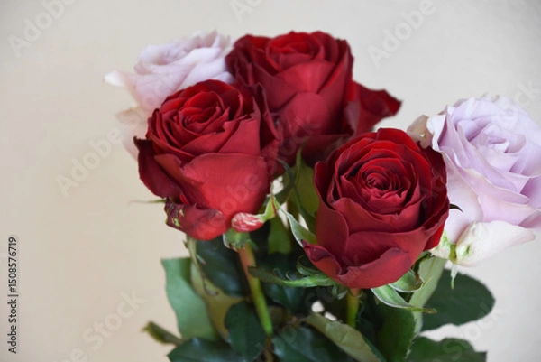 Fototapeta 赤と紫のばら