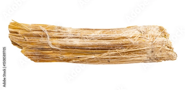 Fototapeta raw chrysotile asbestos mineral isolated on white