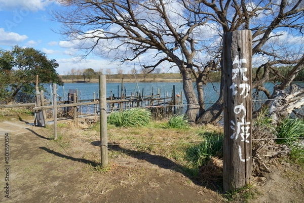 Obraz 矢切の渡し船着き場