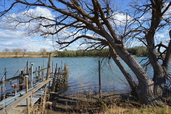 Obraz 矢切の渡し船着き場