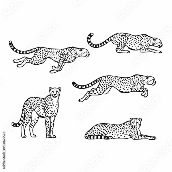 Fototapeta set of leopard