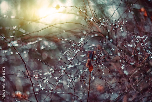 Fototapeta Amazing abstract and blurred background with branches and raindrops.