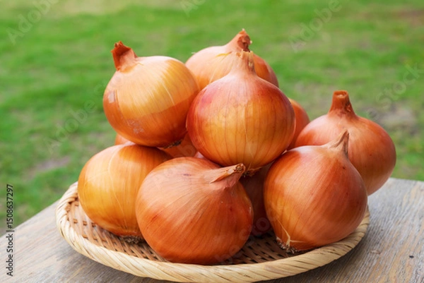 Obraz 淡路島産の玉ねぎ