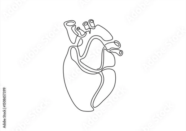 Obraz Heart continuous line drawing, isolated vector illustration, human heart small tattoo, print and logo design, single line on white background. 