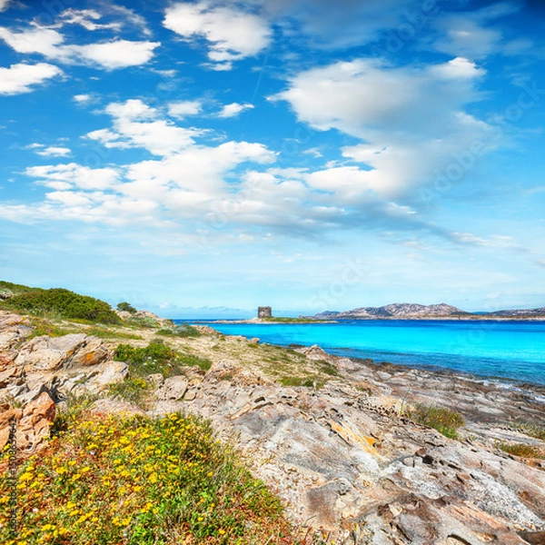 Fototapeta Unbelivable morning view of famous La Pelosa beach and rocky shore near Torre della Pelosa