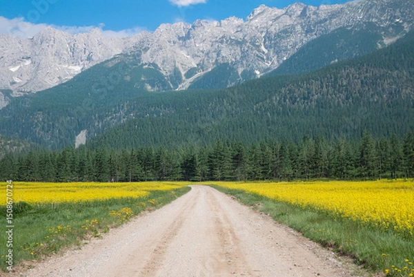 Fototapeta A dirt road stretches through fields of yellow flowers and dense green forest, leading to majestic mountains under a partly cloudy sky.