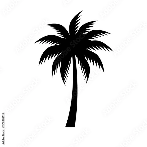 Fototapeta palm tree silhouette isolated on transparent background, png image 