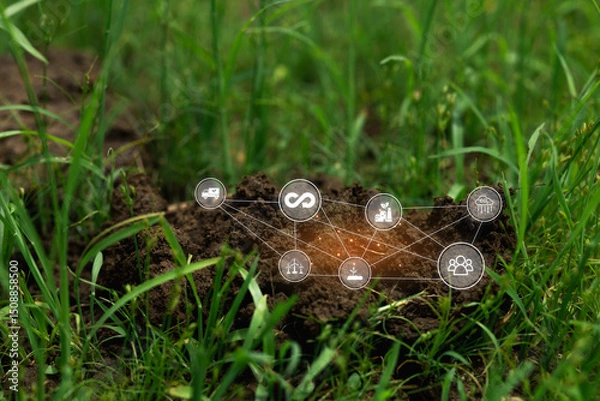 Fototapeta Digital Connection Symbols on Soil Surface in Green Grass Environment