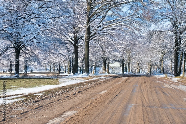 Fototapeta A muddy rural road winds through a snow-covered forest with leafless trees under a bright blue sky, suggesting the end of winter or early spring.