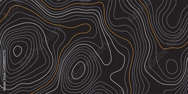 Obraz Luxury gold and white  abstract line art background. Background of the topographic map. Topographic map lines, contour  background. Geographic abstract grid. EPS 10 vector illustration.