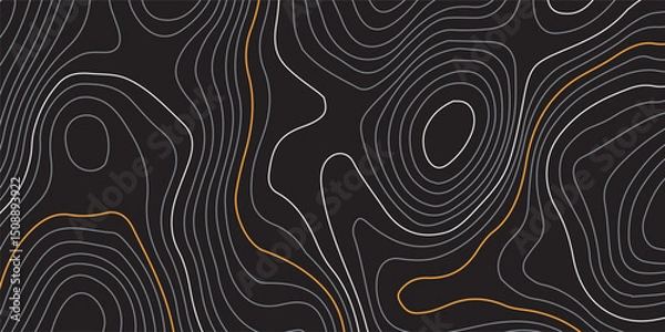 Fototapeta Luxury gold and white abstract line art background. Background of the topographic map. Topographic map lines, contour  background. Geographic abstract grid. EPS 10 vector illustration.