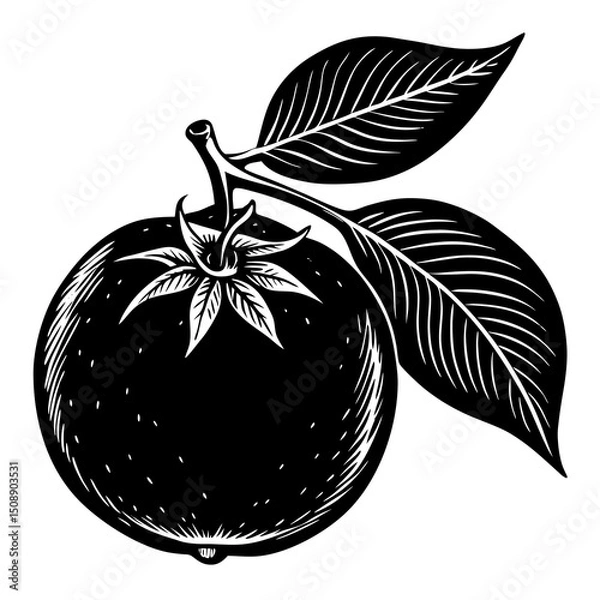 Fototapeta apple with leaves