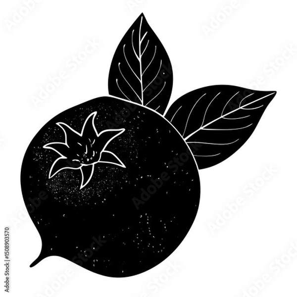 Fototapeta apple with leaf