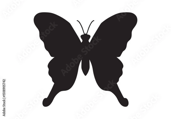 Obraz butterfly isolated on white