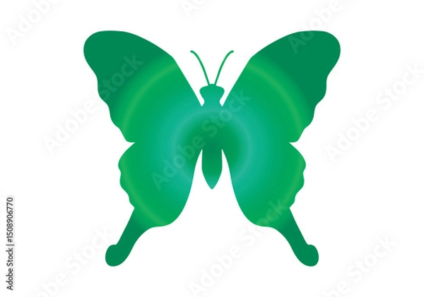 Obraz butterfly isolated on white