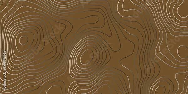 Obraz Topographic map like abstract backdrop. Fractal lines, organic pattern print, Seamless earth line, Wavy lines shaped like the contours of the land, geographic grid map, mountain, area.