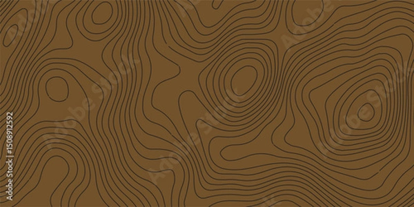 Obraz Topographic map like abstract backdrop. Fractal lines, organic pattern print, Seamless earth line, Wavy lines shaped like the contours of the land, geographic grid map, mountain, area.