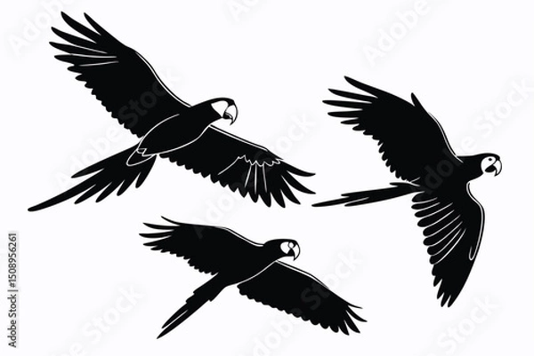 Obraz Black silhouette of macaws in flight exotic parrot vector graphic