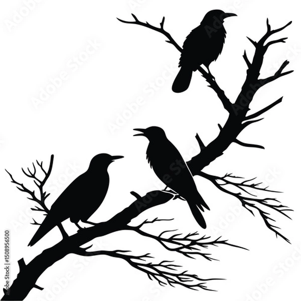 Obraz Black silhouette of three birds perched on bare tree branches