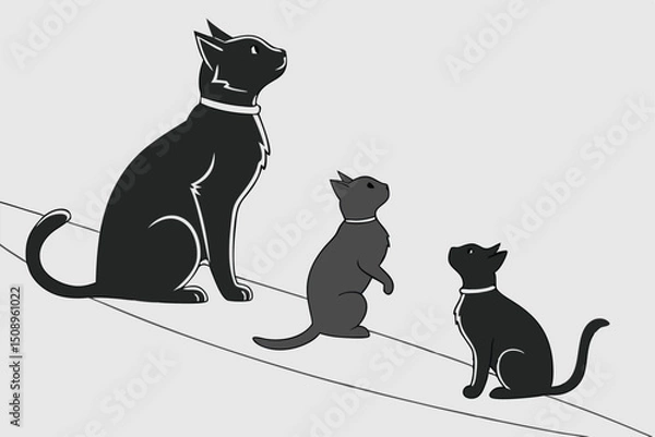 Obraz black cat on white background