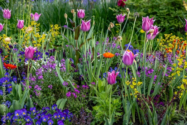 Obraz colorful spring flowers