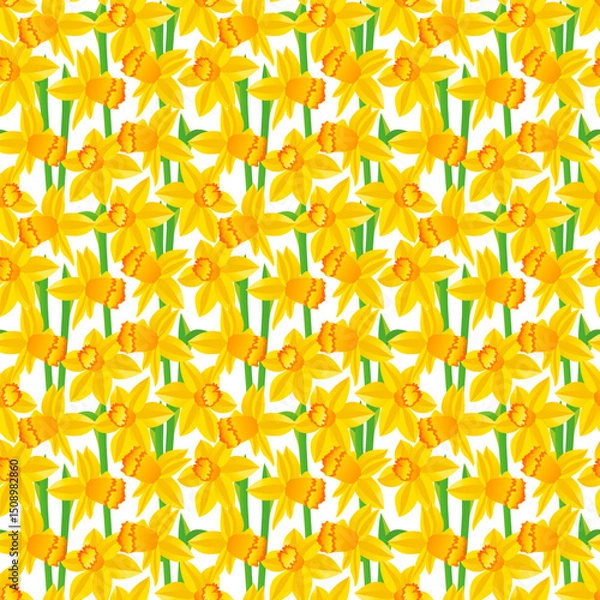 Fototapeta Yellow flowers daffodils on white background. Seamless floral pattern, print, vector illustration