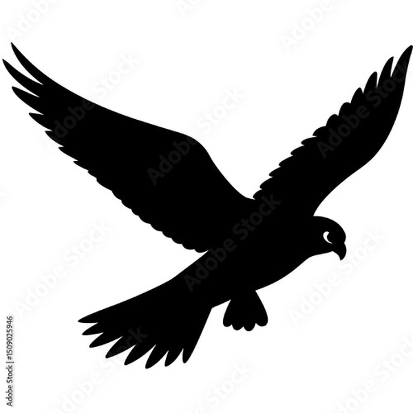 Fototapeta eagle in flight vector on a white background.